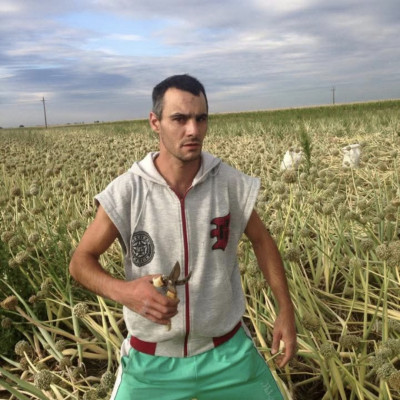 Retrò Pálcika Mobilsz a pusztában