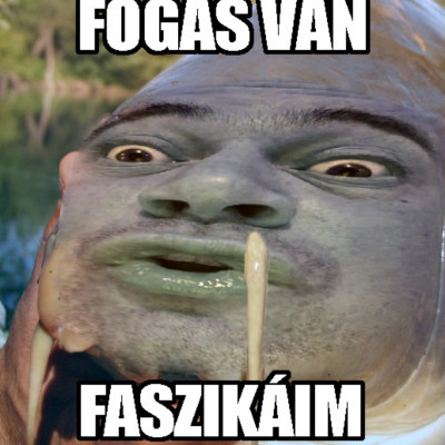 A miskolci TÜKÖRPONTY