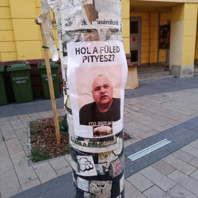 Fületlen MC sertéskényit megint kiplakátoltàk (jobb minősèg)
