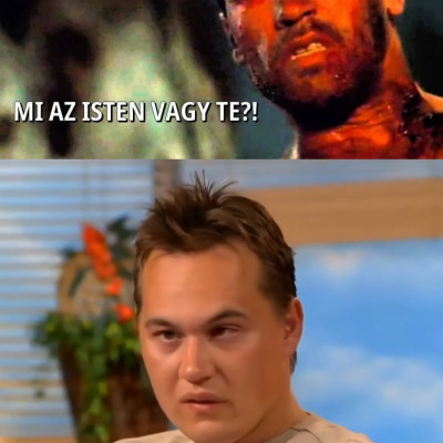 A miskolci predátor
