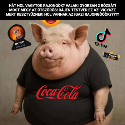 A TikTok sertés Pista egy átlagos napja