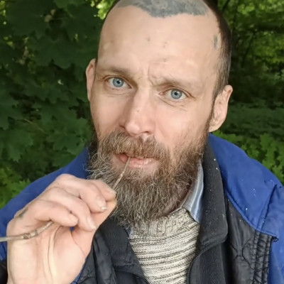 Bartos Möster egy faágat majszol ebédre