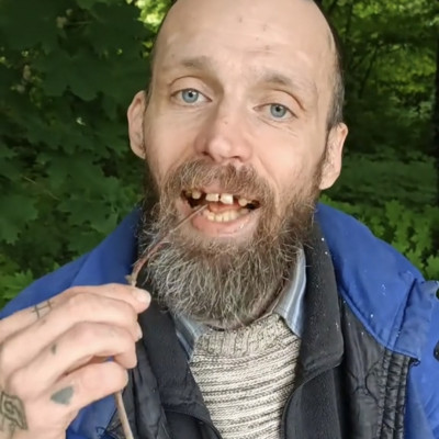 Bartos Möster egy faágat majszol ebédre