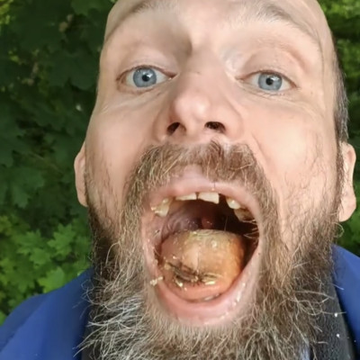 Bartos Möster egy faágat majszol ebédre