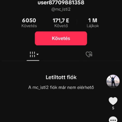 Üdvözlendő hír és történelmi pillanat! - MC Malac tik tok fiòkjának annyi
