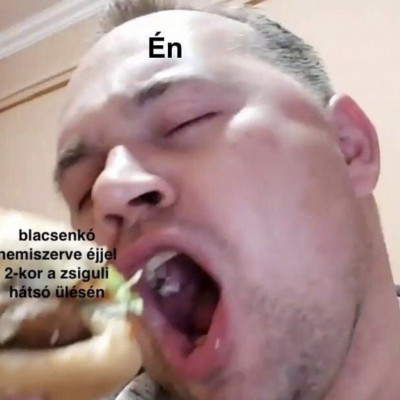 Mc isti művészi válogatás (by Miskolci Herceg)