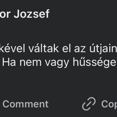 Nőverő Macsicska Tibi új áldozatot keres (06.18.)