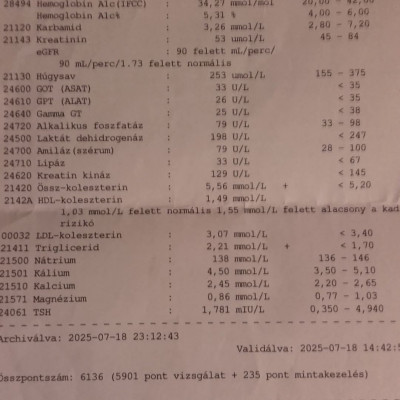 TörpeKaffka Tranyò 2025-ös egészségügyi lelete