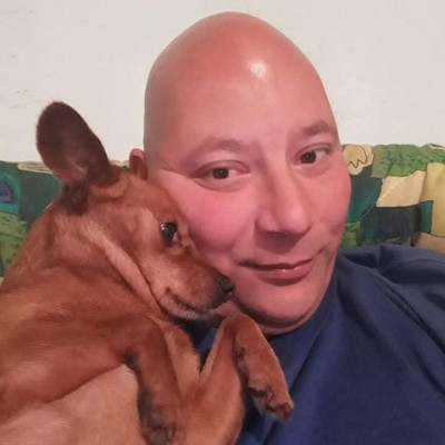 Fiatal megrontó Gyula kollekció