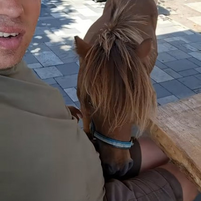 Zoofil Koldustech Alex egy lovacskát cumiztat