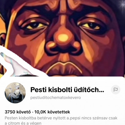 Meleg Maci Tibi új profilképe
