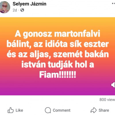 Selyem Jàzmin facebookon gyűlölködve randalírozik
