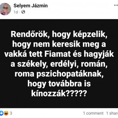 Selyem Jàzmin facebookon gyűlölködve randalírozik