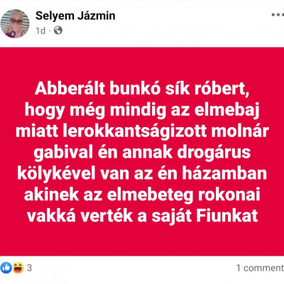 Selyem Jàzmin facebookon gyűlölködve randalírozik
