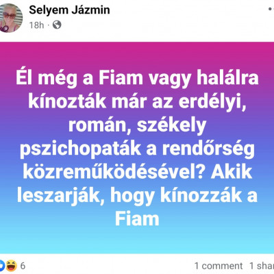 Selyem Jàzmin facebookon gyűlölködve randalírozik