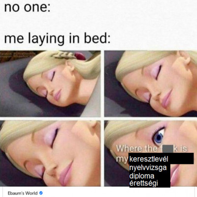 SoDI mémek