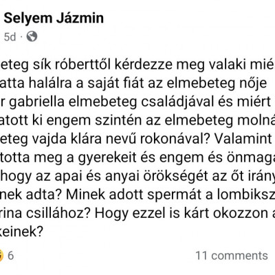 Elmebeteg Skizò Selyem Jàzmin megint a képzeletbeli fia miatt gyűlölködik facebookon