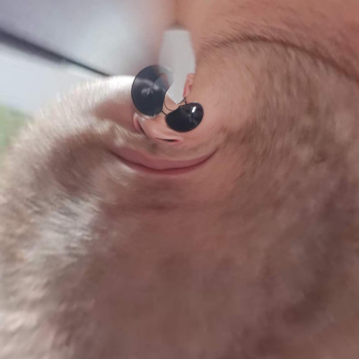 Mc isti művészi válogatás (by Miskolci Herceg)