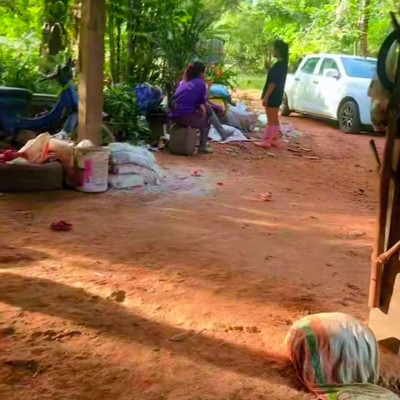 A Thai Patkány Koldus Sztív Szánalmas èlete kèpekben