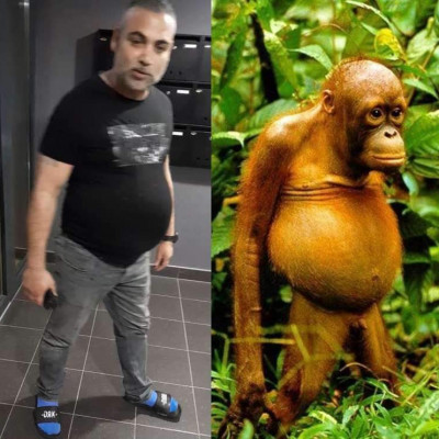 Gammer a gyomai king kong
