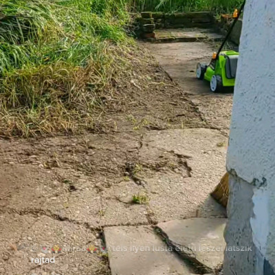 A naplopó koldus Gyuluska udvara
