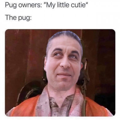 Random Kancsi mém