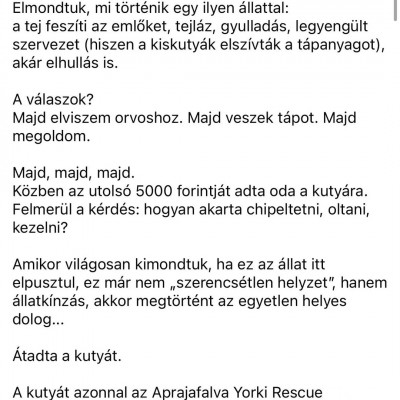 A retardált Faszhiányos Rosszallótól ismét elvettek egy kutyát állatkínzásért