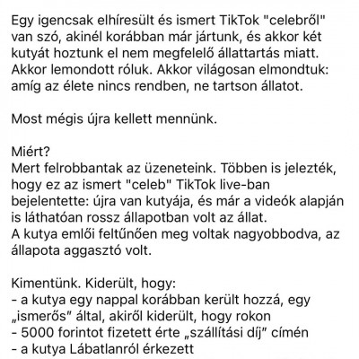 A retardált Faszhiányos Rosszallótól ismét elvettek egy kutyát állatkínzásért