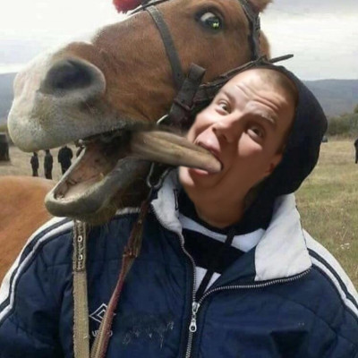 Alex a társával