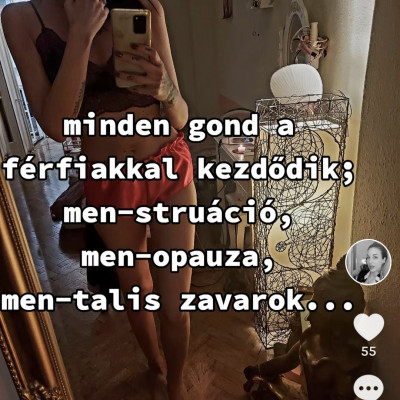 A csotvázkirakat Femcel Rodalexa szerint mindenèrt a fèrfiak a hibàsak