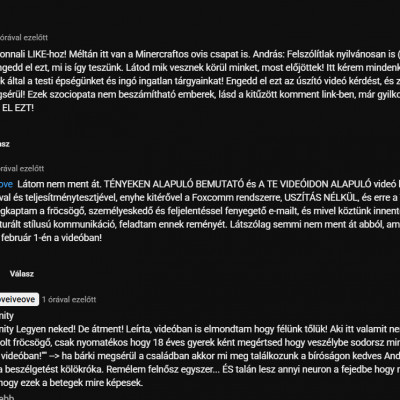 Neonity törölt kommentje Ernő videója alatt