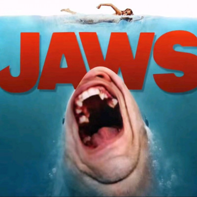 Mc Jaws