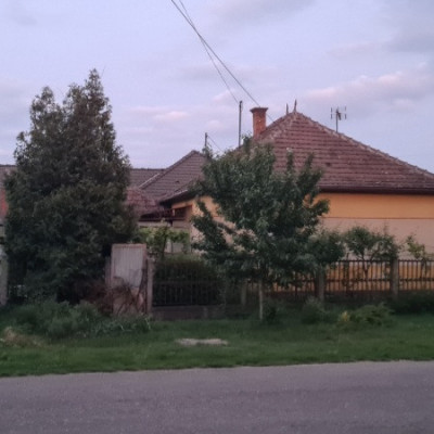 A púpszászi Blair Witch project