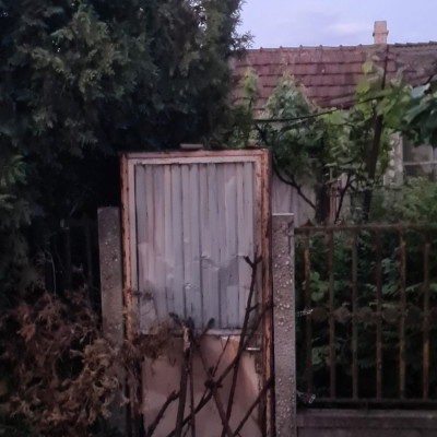 A púpszászi Blair Witch project