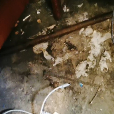 Embertelen körülmènyek a púpszászi Horrorházban