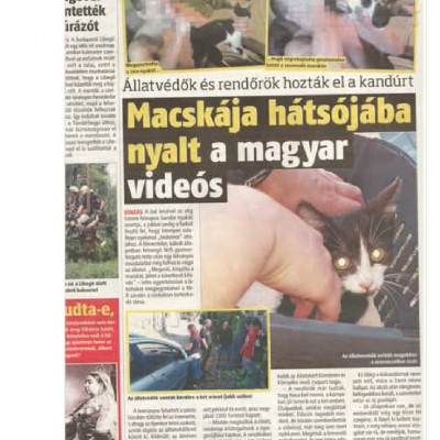 A kommentelők széttrollkodják Trutymò hirdetését
