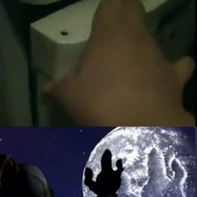Mudokon Bariadd