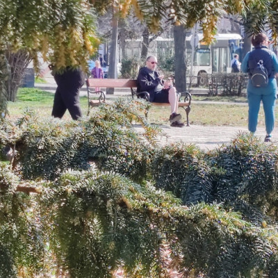 Naplopò Sodrony élvezi a napsütést