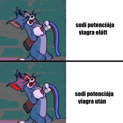 SoDI mémek