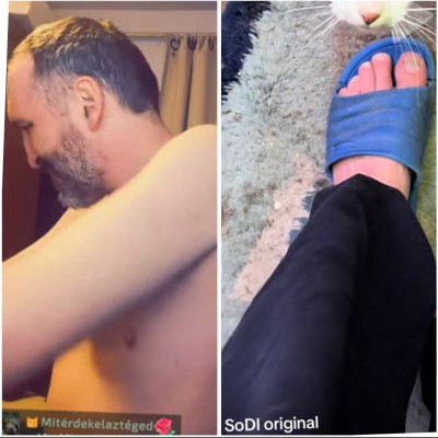 Sodi igènyes, nem gombàs làbkörme