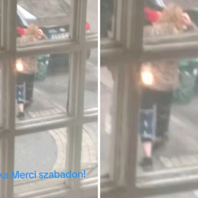 Kaffka Merci szabadlàbon