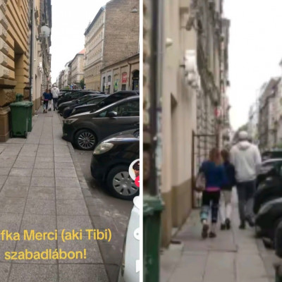 Kaffka Merci szabadlàbon
