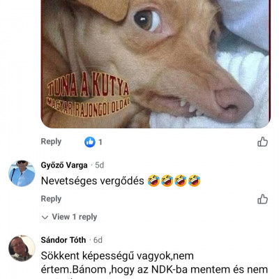 A nyergesi Kaszanova nőkeresési hadjárata folytatòdik