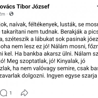 Macsò Tibi elváràsai