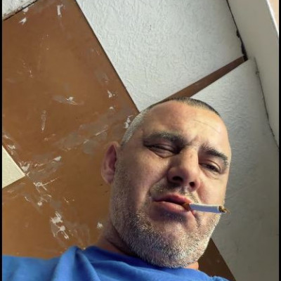 Ádám egy rendes festő háza 2