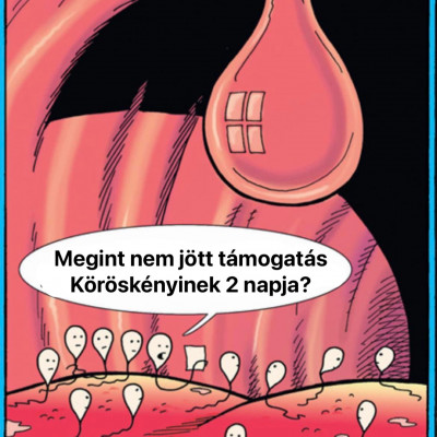 Mc isti művészi válogatás (by Miskolci Herceg)