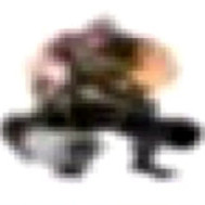 warrior's avatar