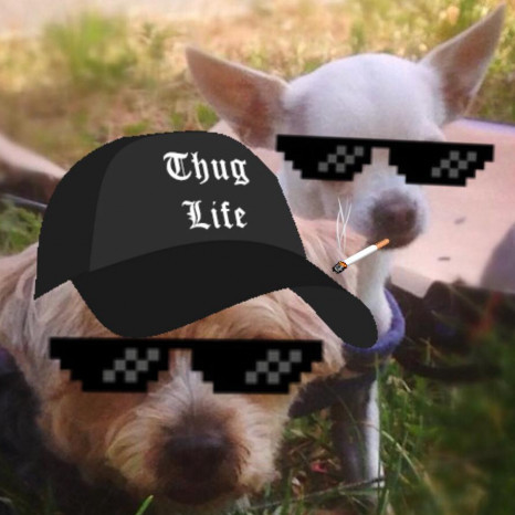 MartinkaV2's avatar
