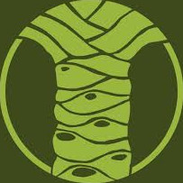 Wasabi's avatar