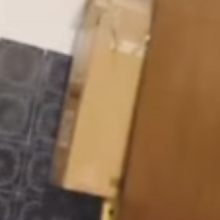 A macskaól kartondoboza